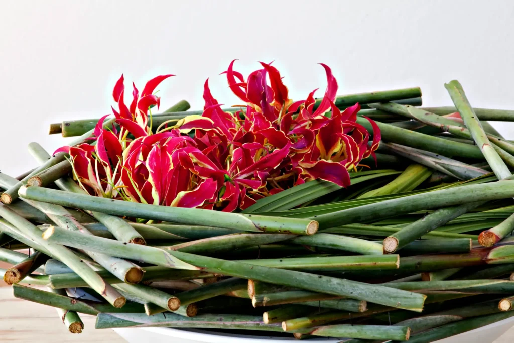 floral arrangement with gloriosas and strelitzias